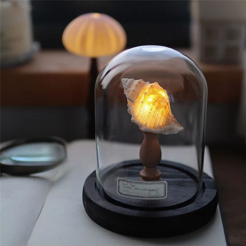 절묘한 DIY 야간 조명 미니 LED 램프 부드러운 조 - Lighting Decoration Ideas For Home 리뷰 및 가격