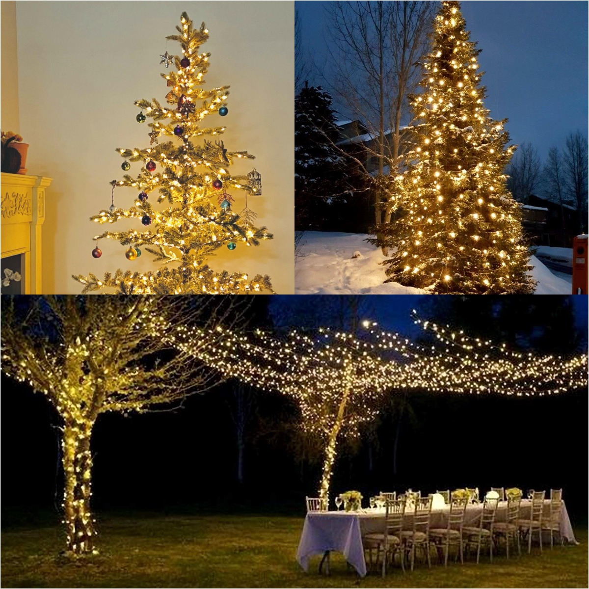 더 많은 LED 녹색 와이어 갈 랜드 문자열 요정 조명 - Lighting Decor And More 리뷰 및 가격